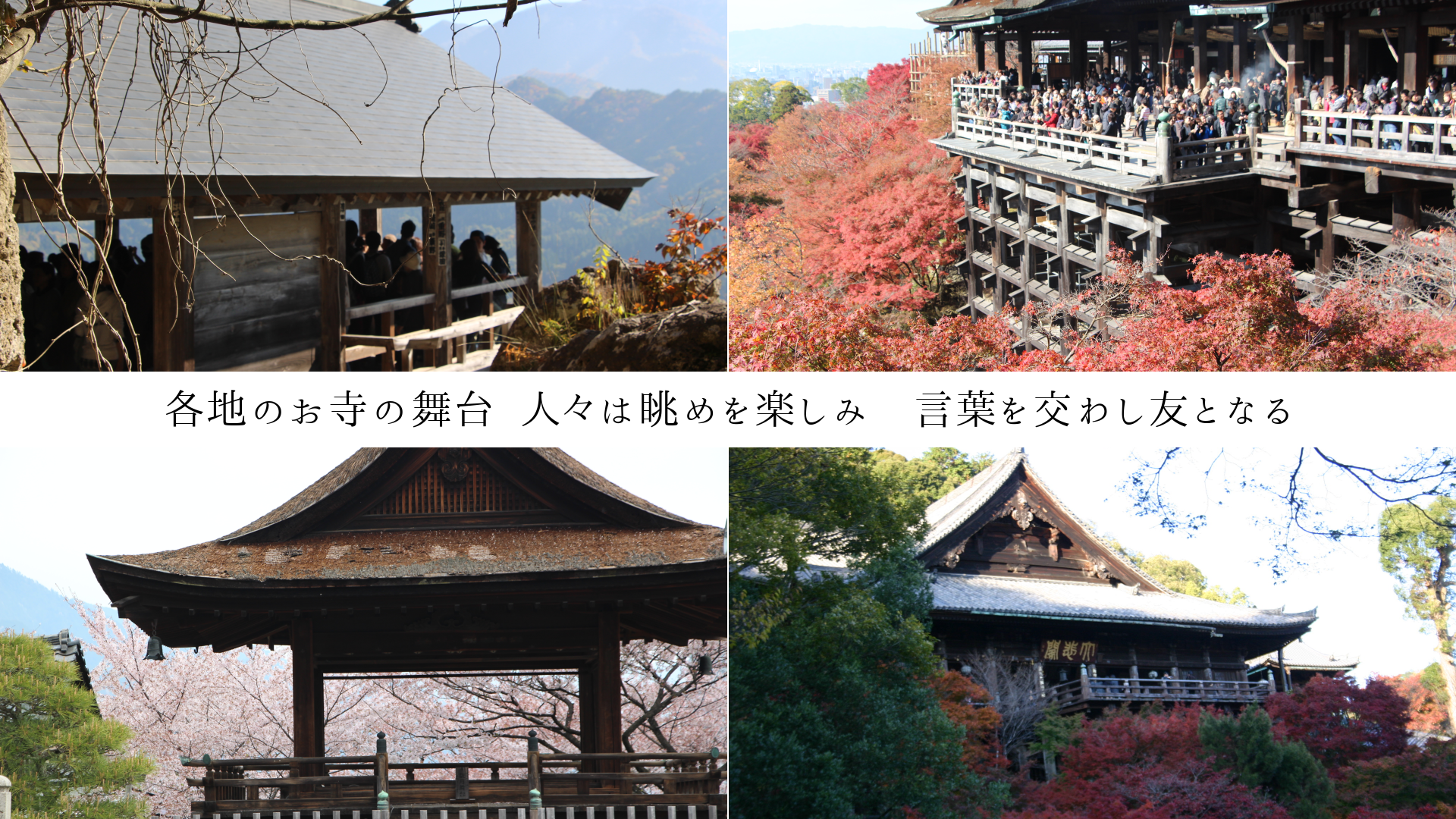 ϤΤ  ͡įڤߡդ路ͧȤʤ