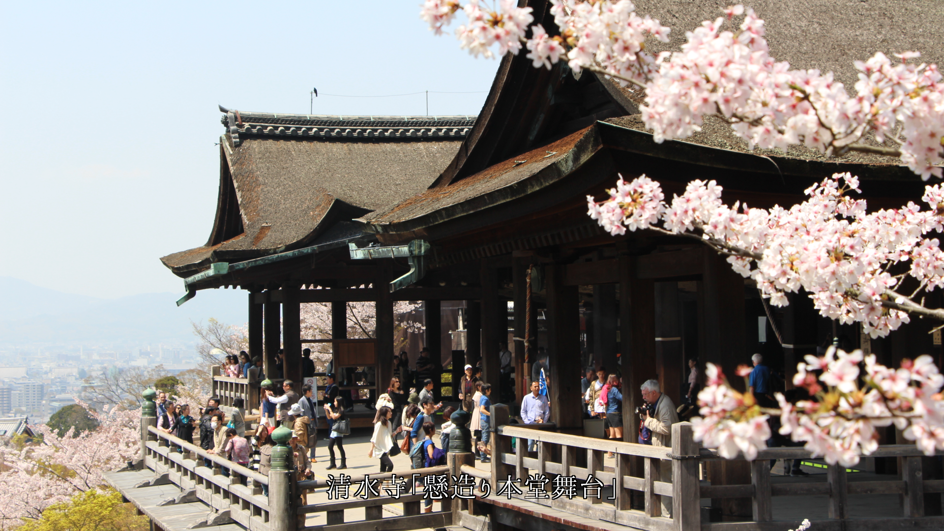 寺社や芝居劇場の舞台 日本の多様な文化と伝統を 守り継いでいる