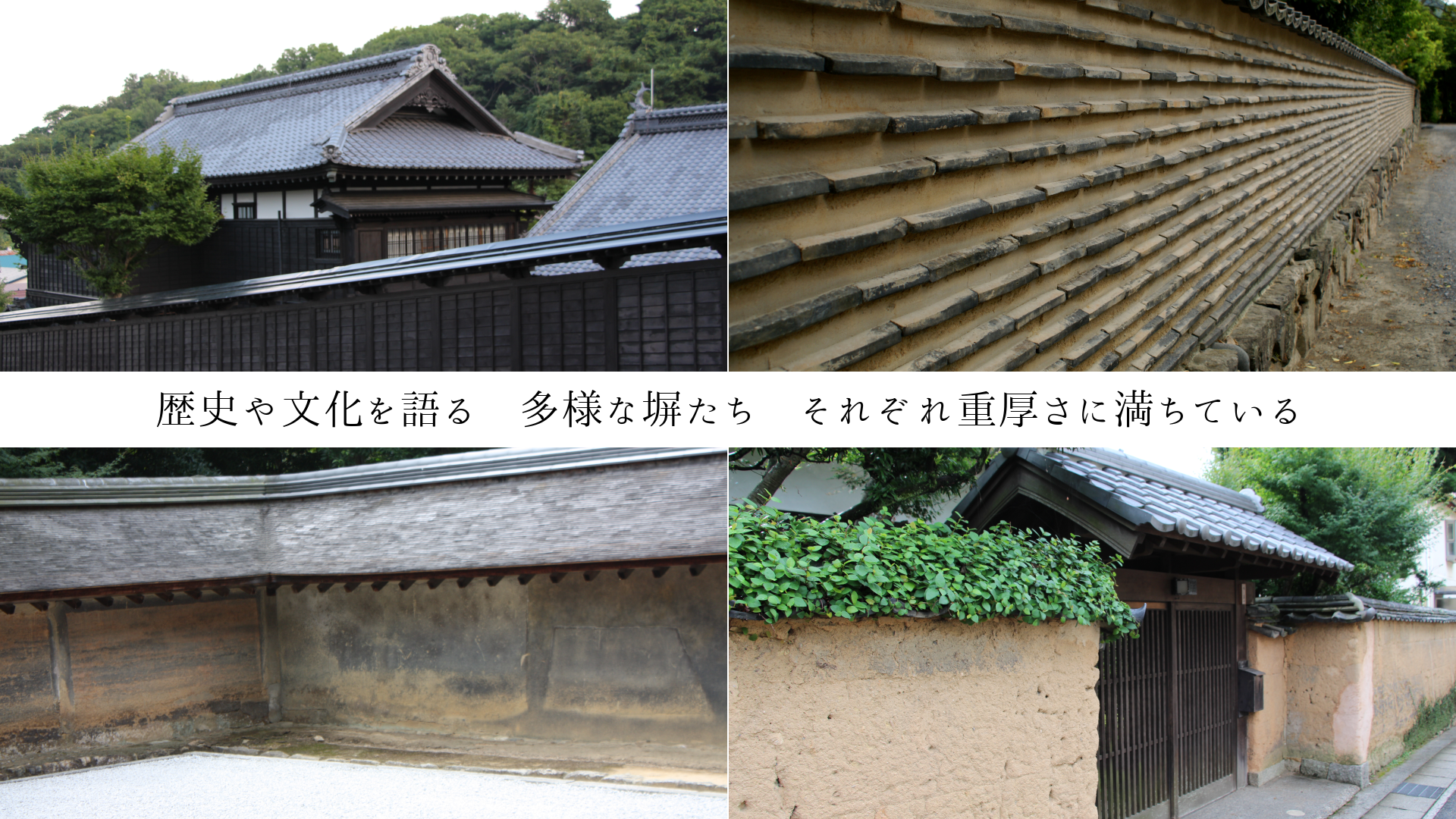 ˤʸ롡¿ͤʽ줾ŸƤ