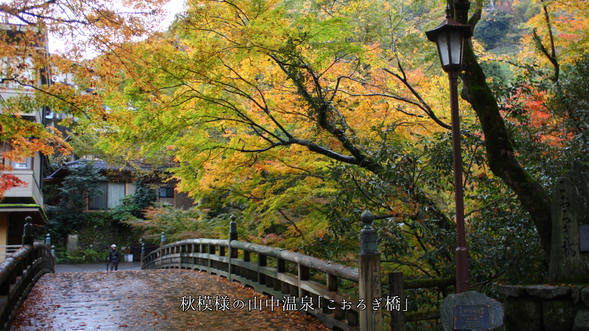 山中温泉の「こおろぎ橋」と鶴仙渓 季節の流れが風情を高める