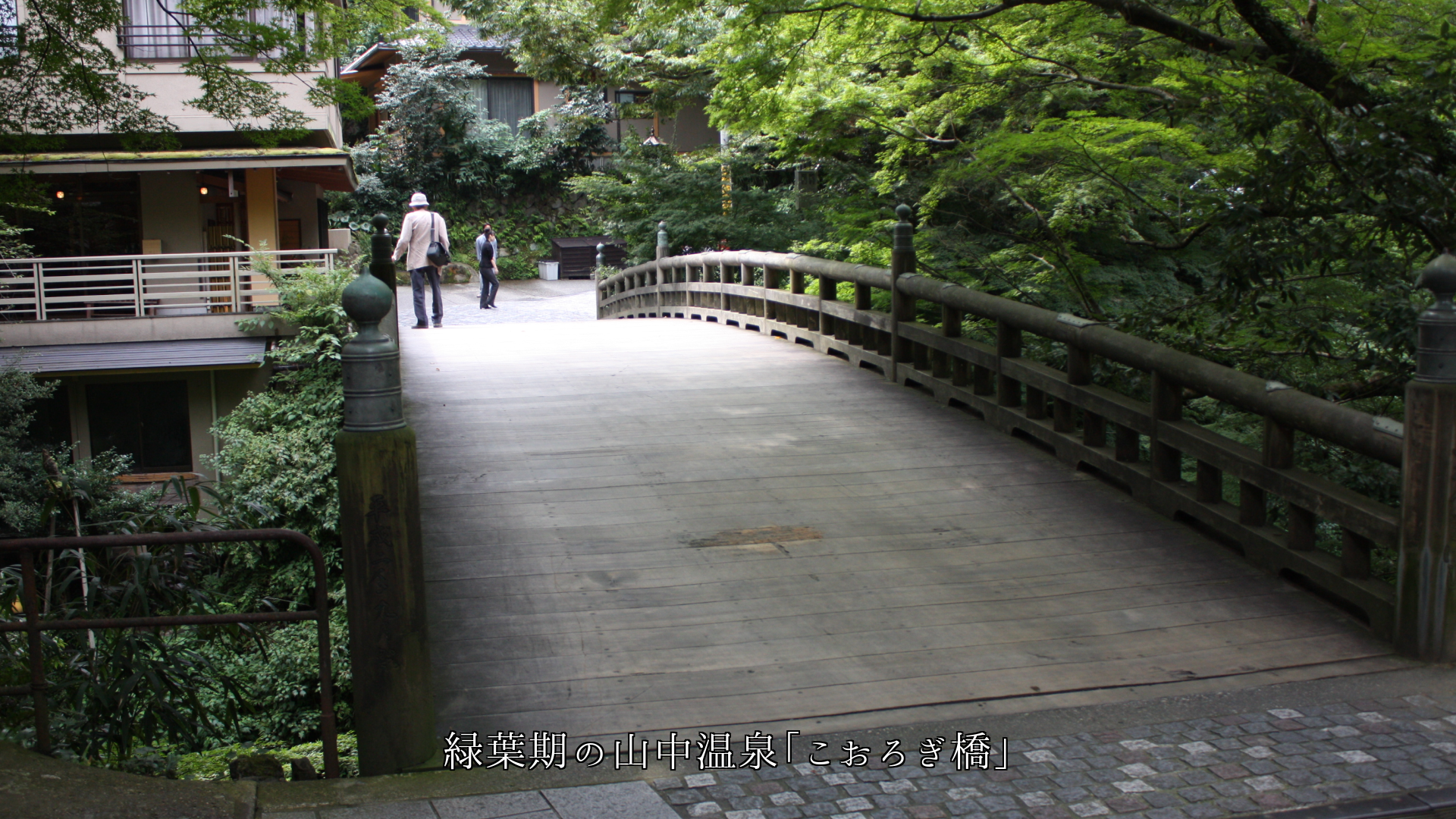 山中温泉の「こおろぎ橋」と鶴仙渓 季節の流れが風情を高める
