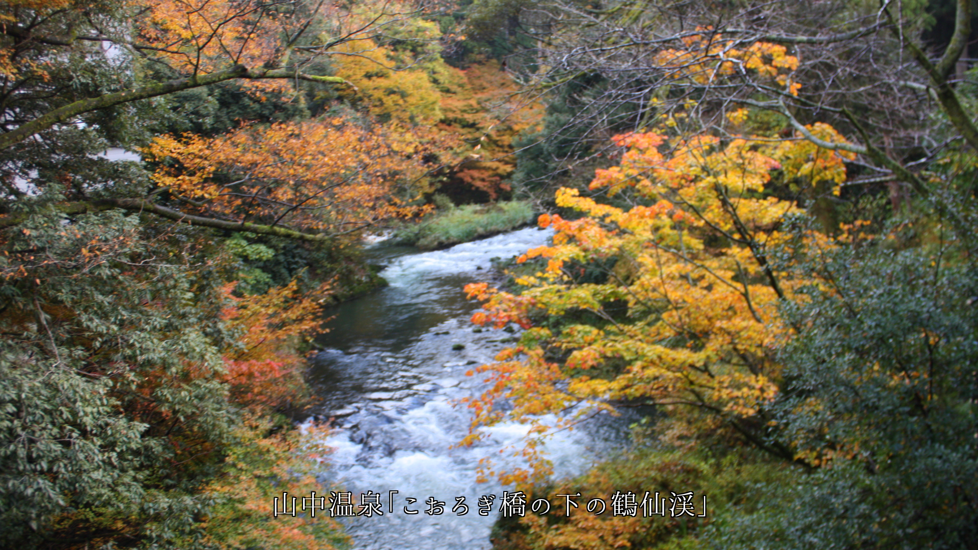 山中温泉の「こおろぎ橋」と鶴仙渓 季節の流れが風情を高める