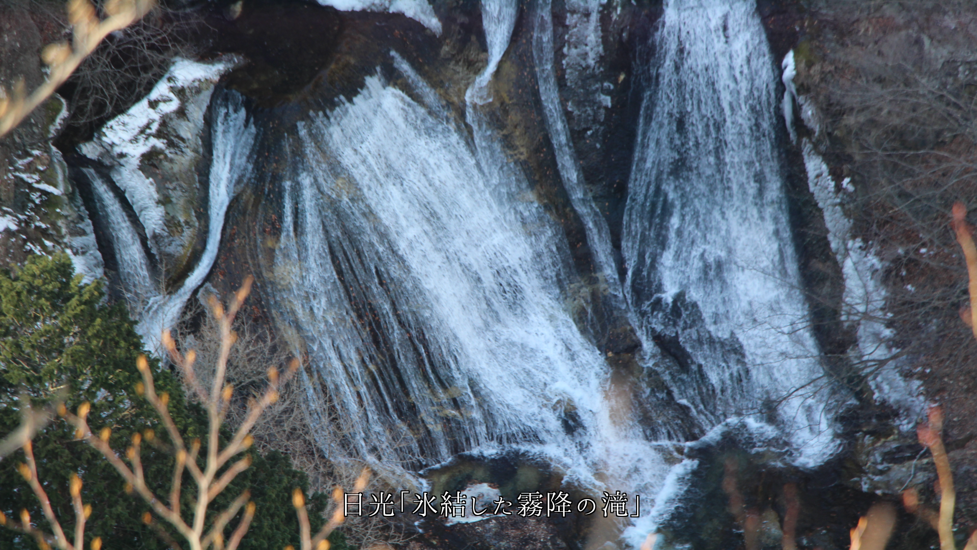 氷結した各地の滝 しぶきや氷の結晶が 自然の芸術美となっている