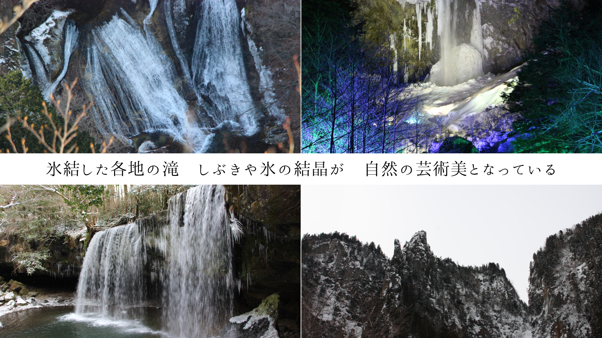 ɹ뤷Ϥ졡֤ɹη뾽ηݽȤʤäƤ