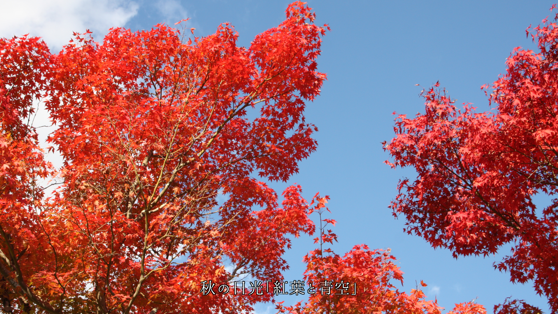 時を経ても 所が変わっても、 それぞれの人々に 風月同天がある