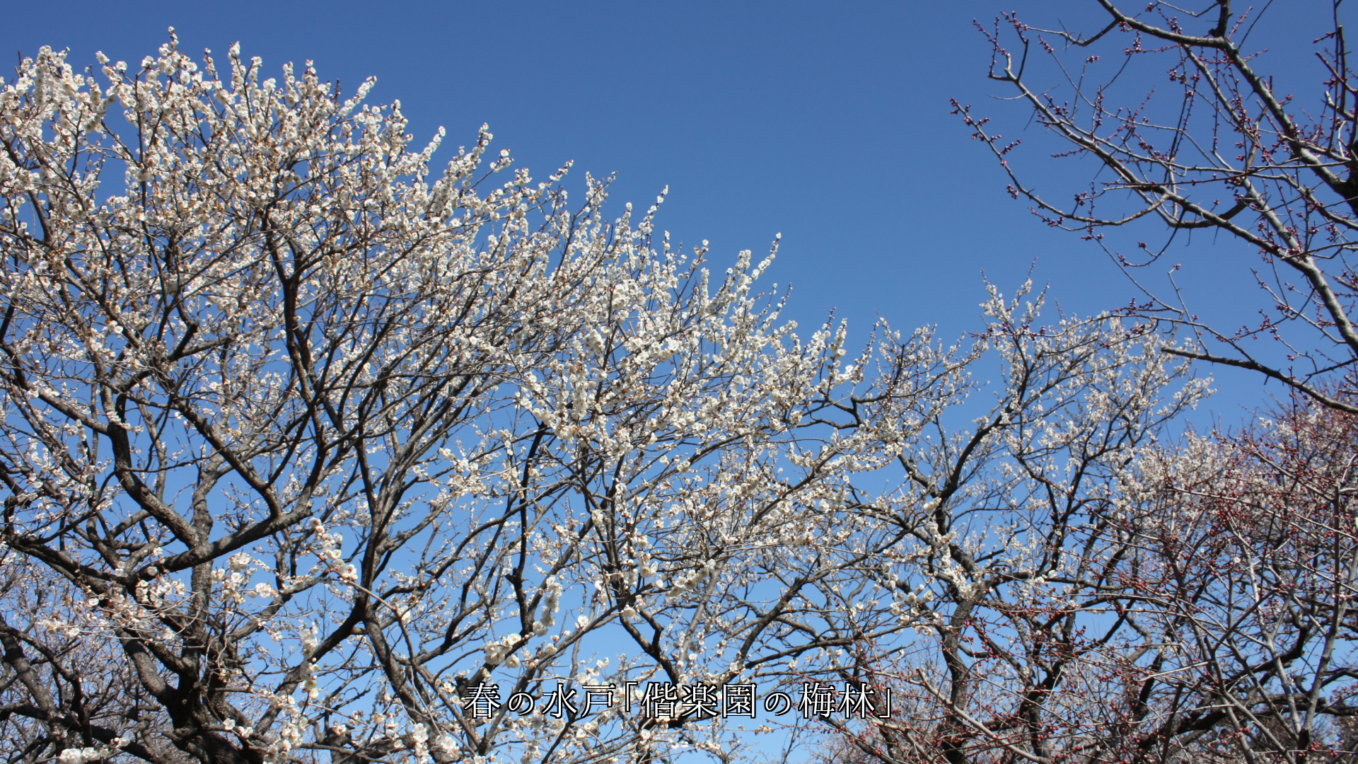 時を経ても 所が変わっても、 それぞれの人々に 風月同天がある