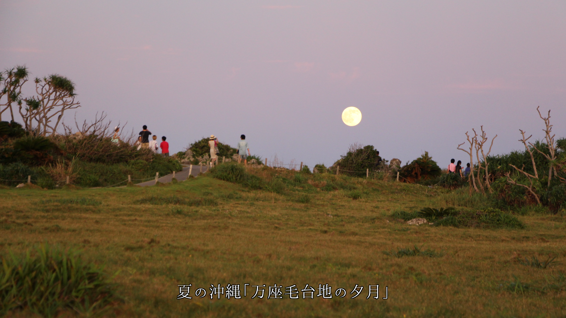 時を経ても 所が変わっても、 それぞれの人々に 風月同天がある