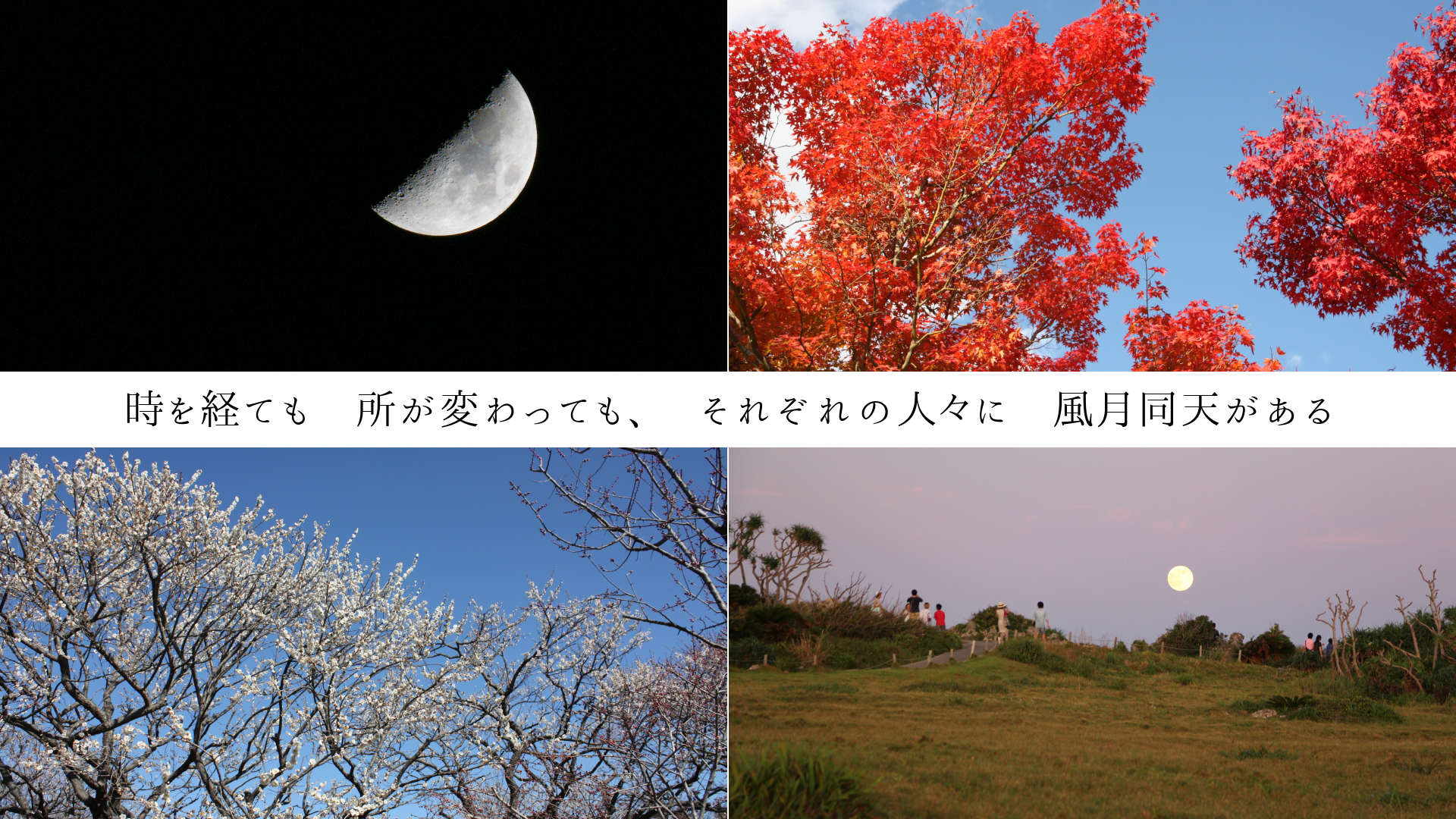 ФƤ⡡꤬ѤäƤ⡢줾ο͡ˡƱŷ