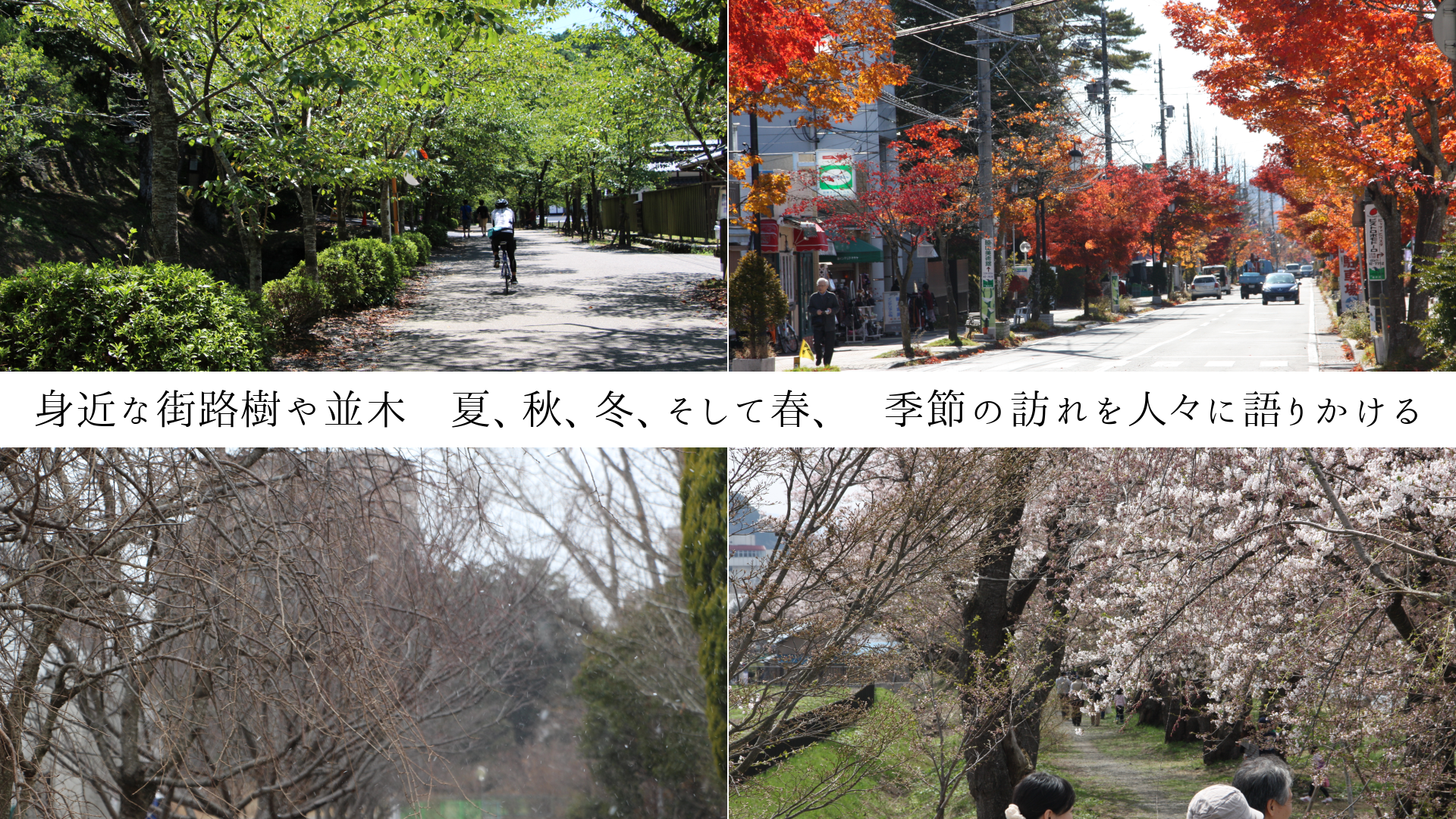 ȶʳϩڡơߡƽաˬ͡˸꤫