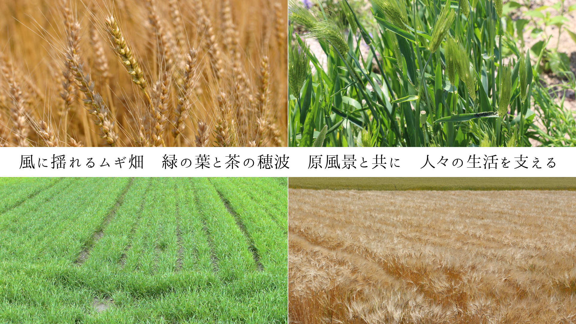 ɤ८ȪФդȡʤȶˡ͡٤