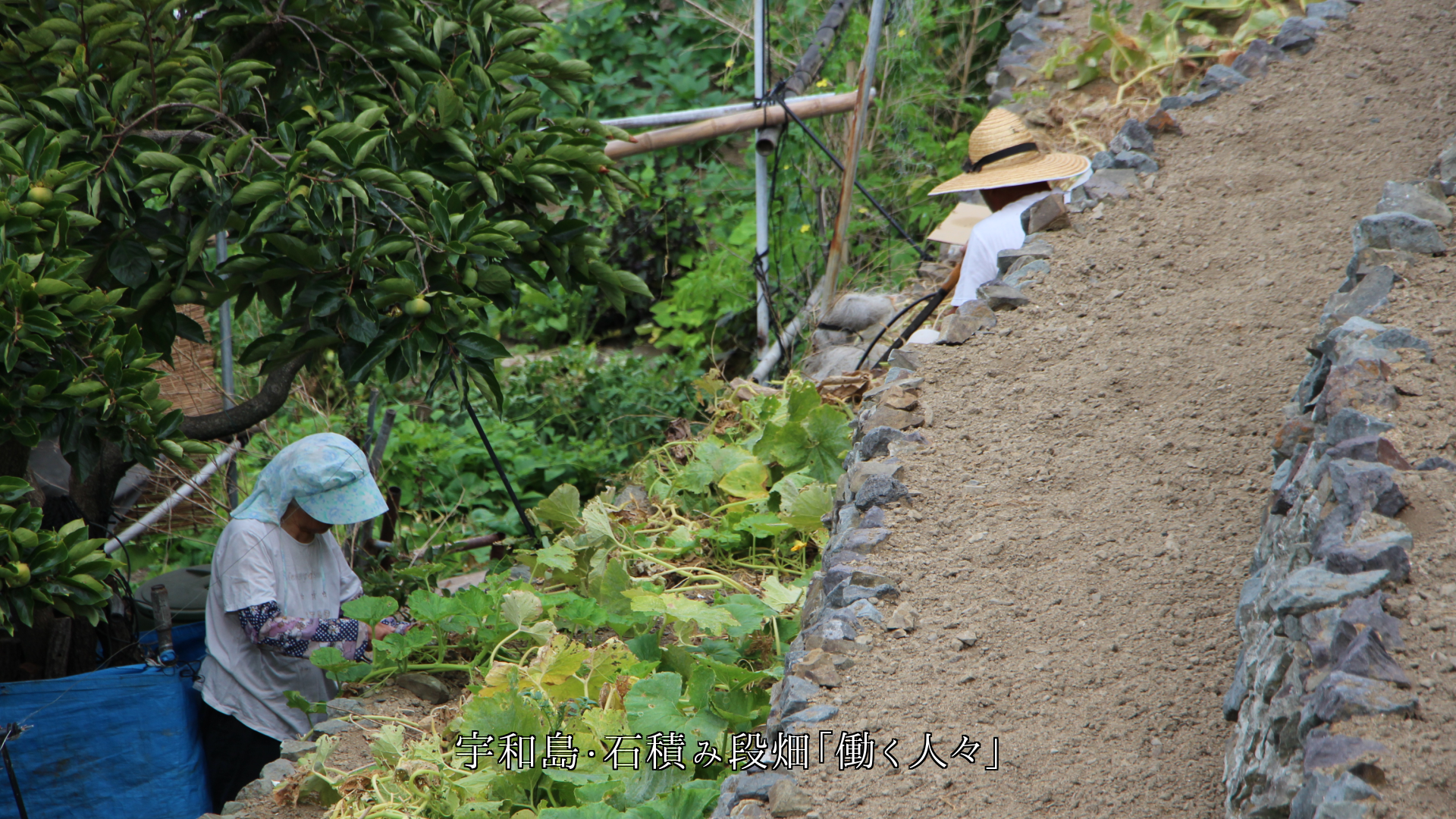 それぞれの場所で 懸命に働く人々 その姿に 心を打たれます