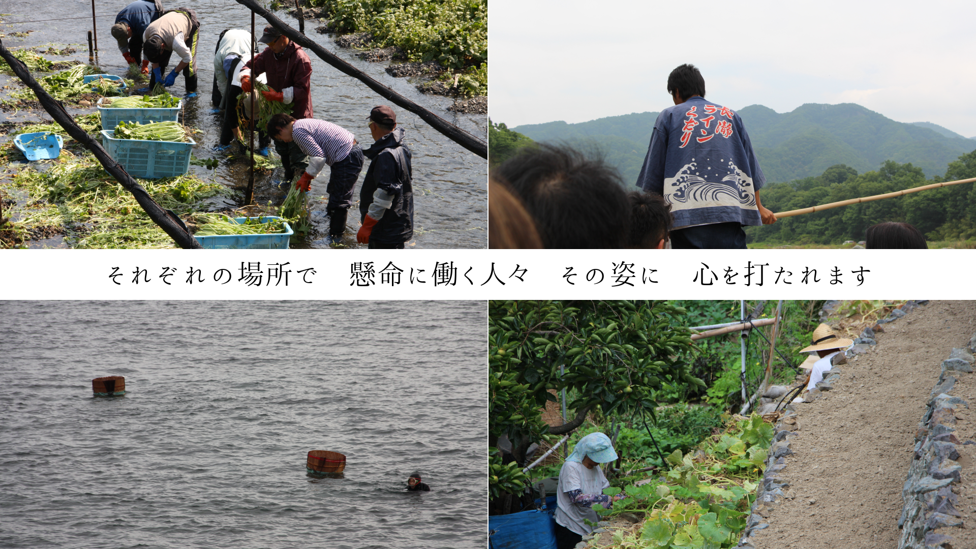 줾ξǡ̿Ư͡λѤˡǤޤ