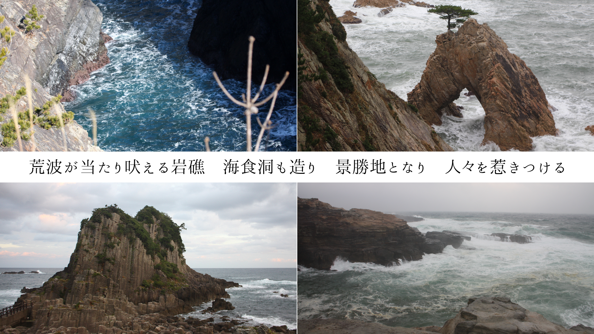 Ȥʤ̡ƶ¤ꡡʾϤȤʤꡡ͡椭Ĥ