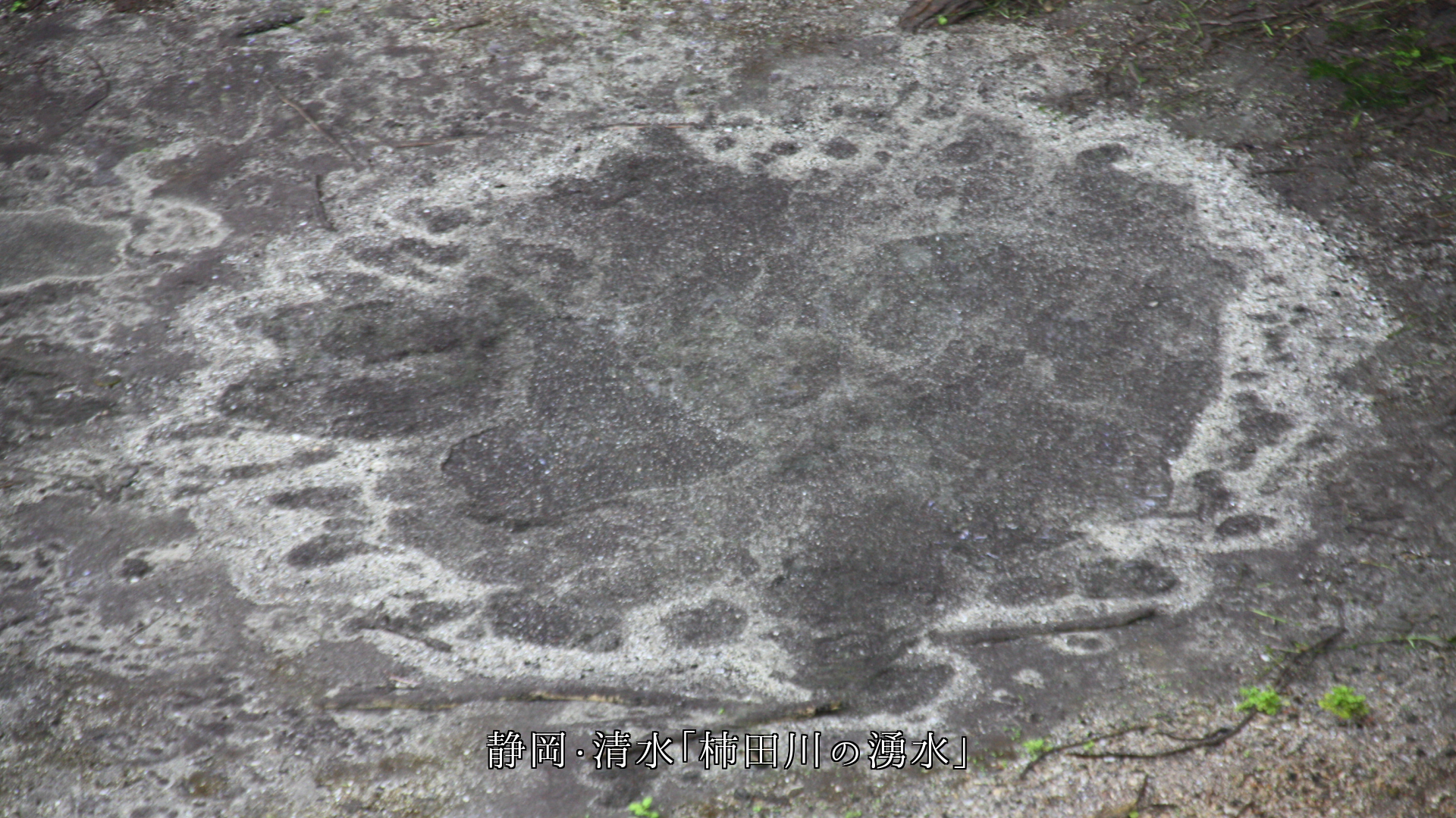 とめどなく湧き出て 清く流れる 各地の湧き水 砂も時も流れ動く