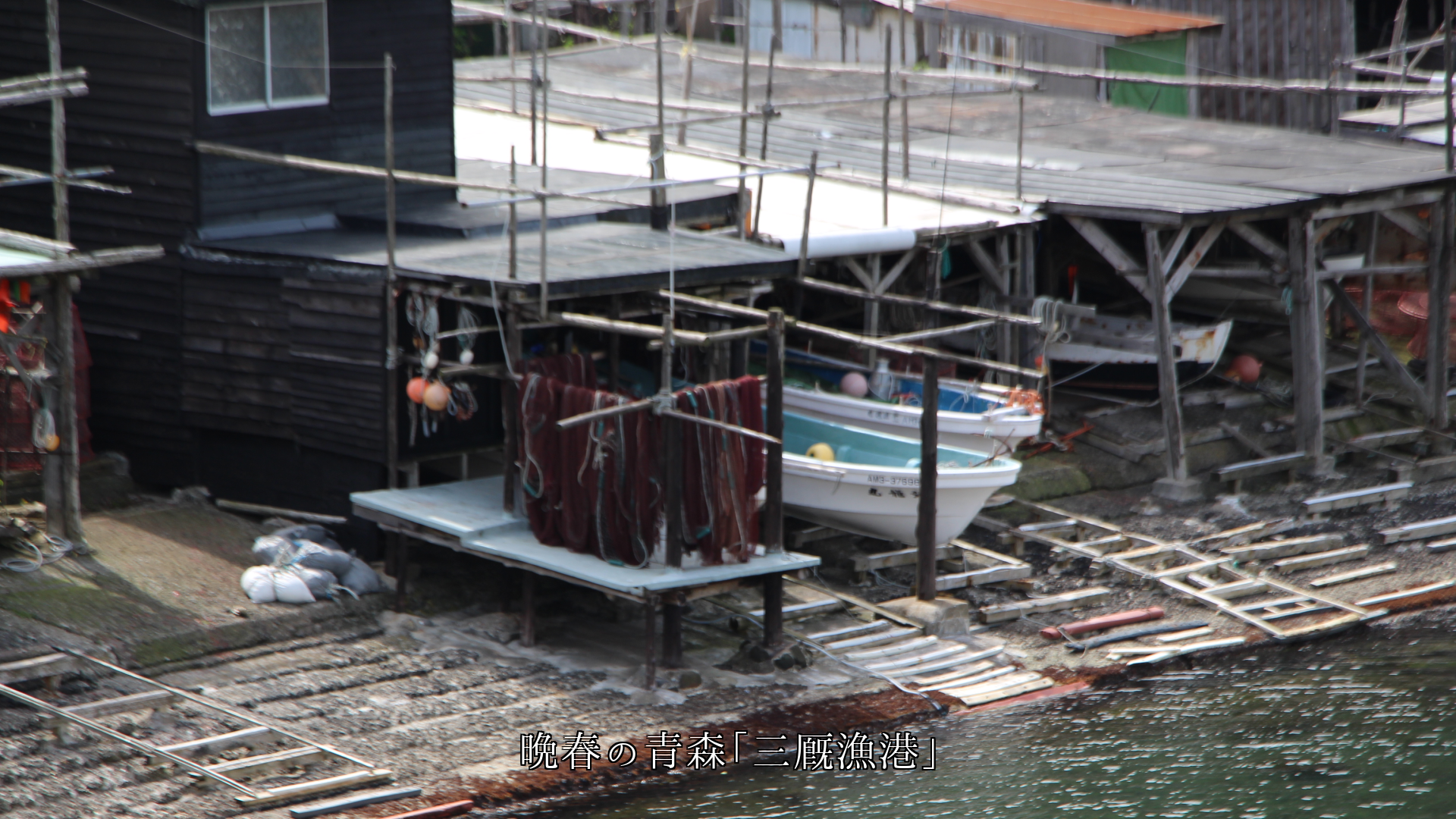 ���줾�쵨��ǡ���̱�����褬�����롡���Ϥ����ɤޤꡡ�͡��˴��դ���