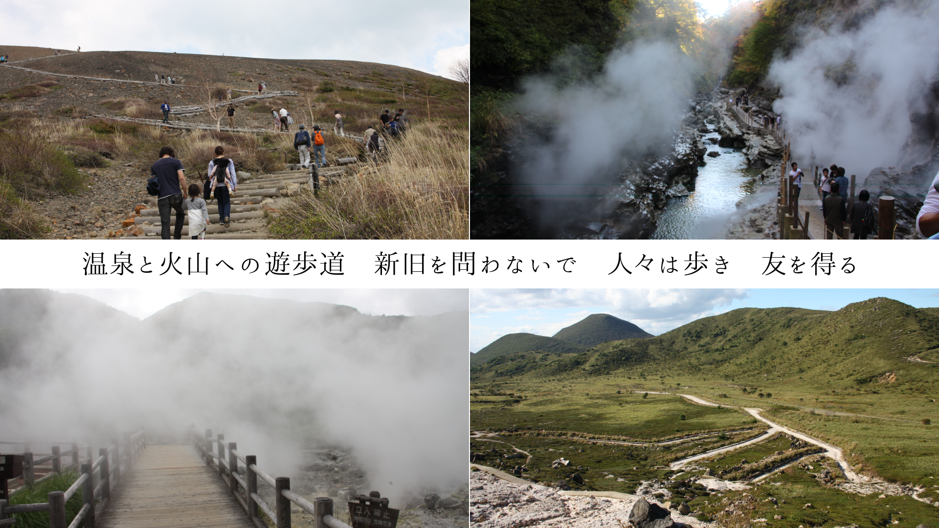 �����Ȳл��ؤ�ͷ��ƻ����������ʤ��ǡ��͡����⤭��ͧ������