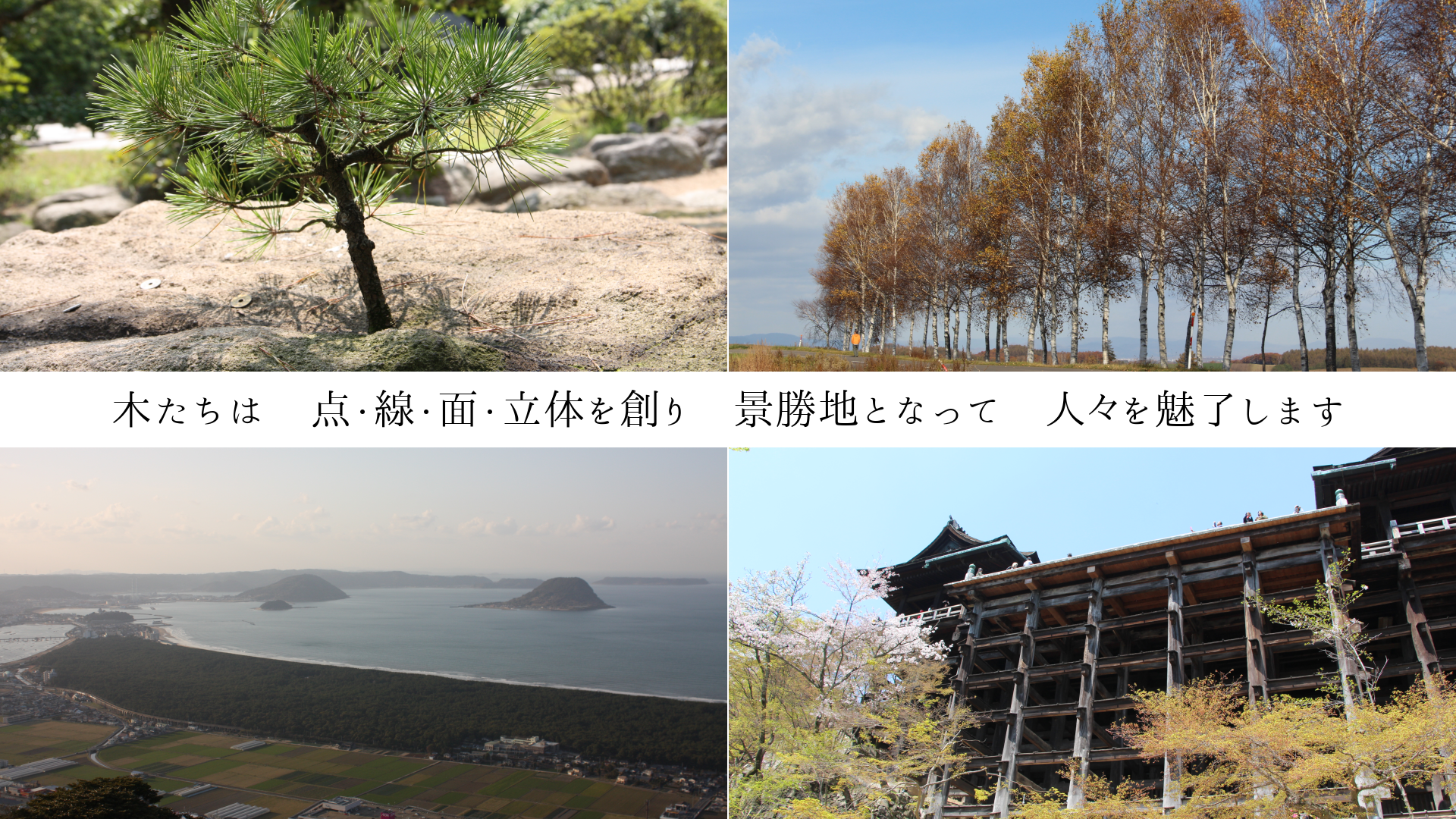 �ڤ����ϡ����������̡�Ω�Τ��Ϥꡡ�ʾ��ϤȤʤäơ��͡���̥λ���ޤ�