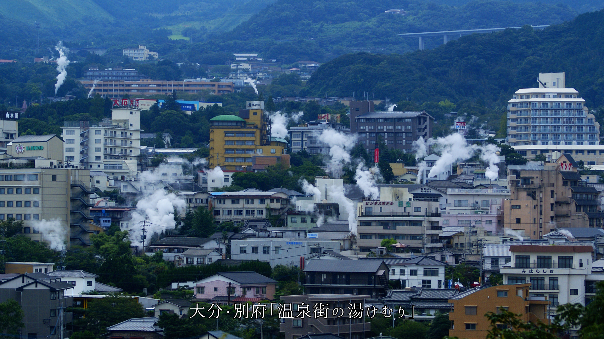 �����Ͷ�����򤱤��β����������Ǿ��겣��ή�졡�����ɤ餹