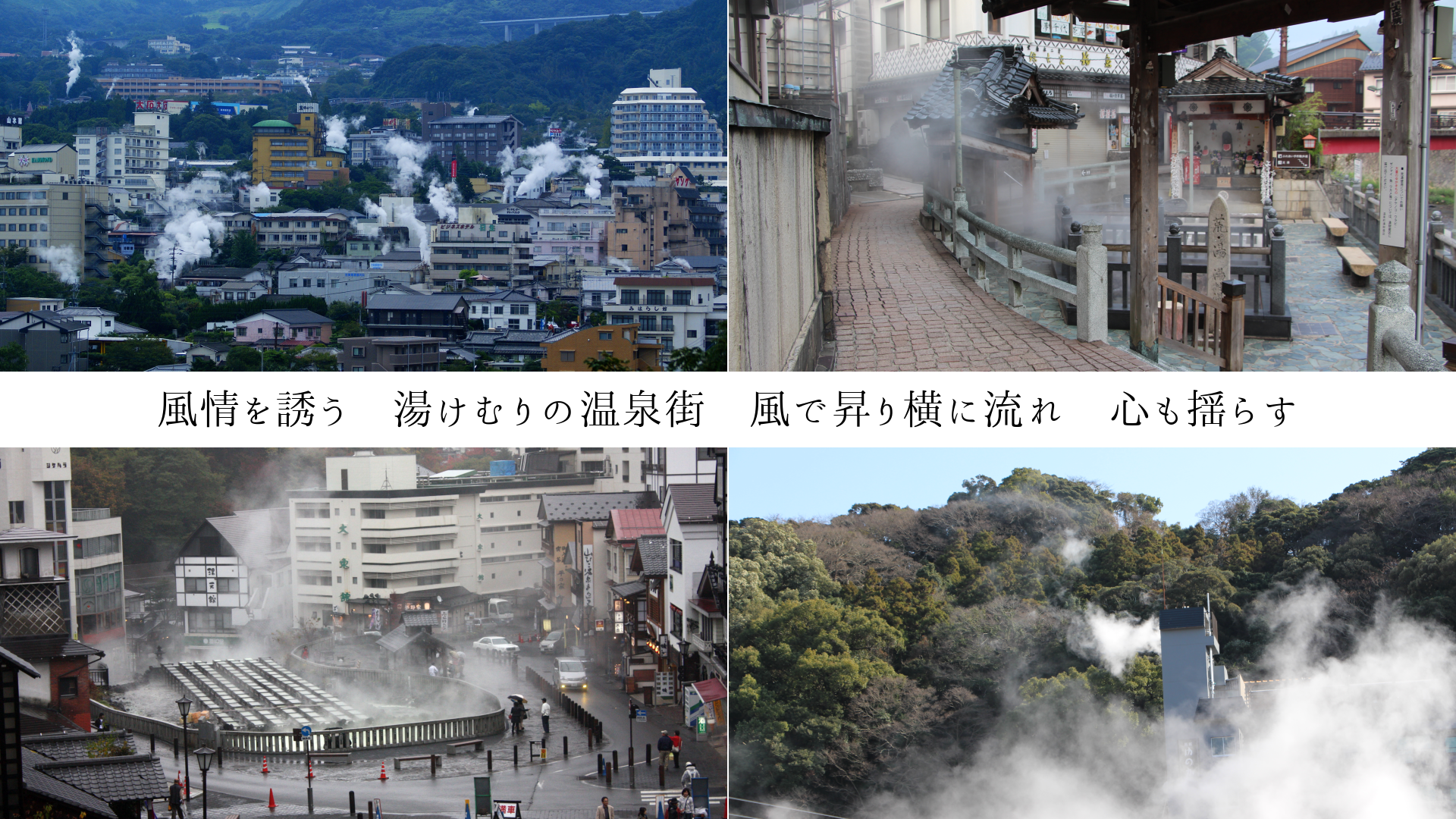 �����Ͷ�����򤱤��β����������Ǿ��겣��ή�졡�����ɤ餹