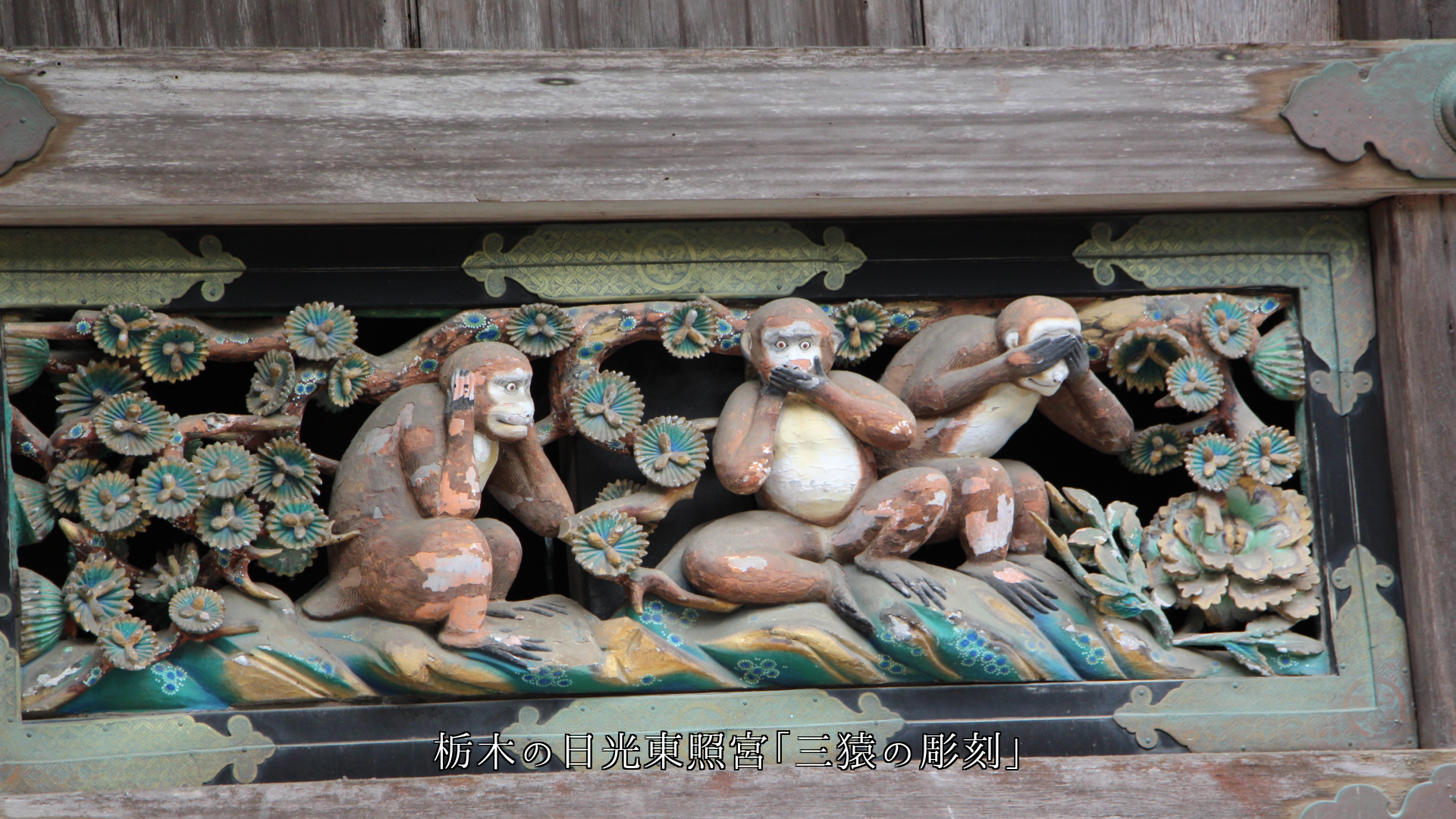 ˭���ʺ̤�� ͭ̾�ʿ��Ҥ�Ħ����ܤ������ʸ������ˤ��äƤ���