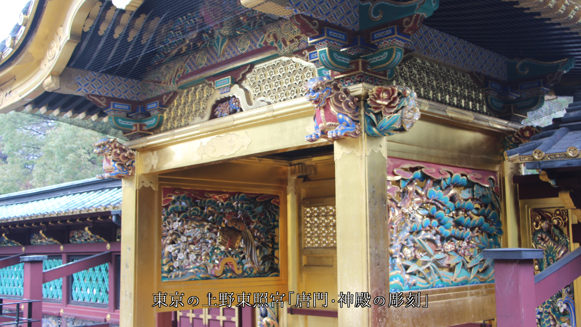 ˭���ʺ̤�� ͭ̾�ʿ��Ҥ�Ħ����ܤ������ʸ������ˤ��äƤ���