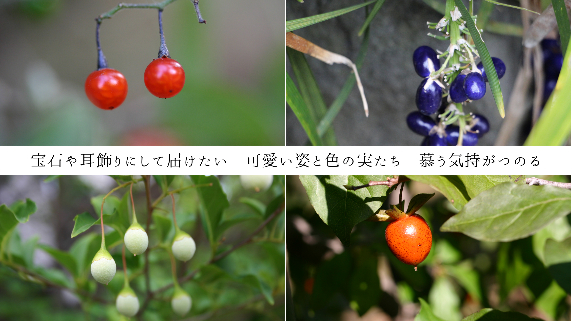 宝石や耳飾りにして届けたい 可愛い姿と色の実たち 慕う気持がつのる