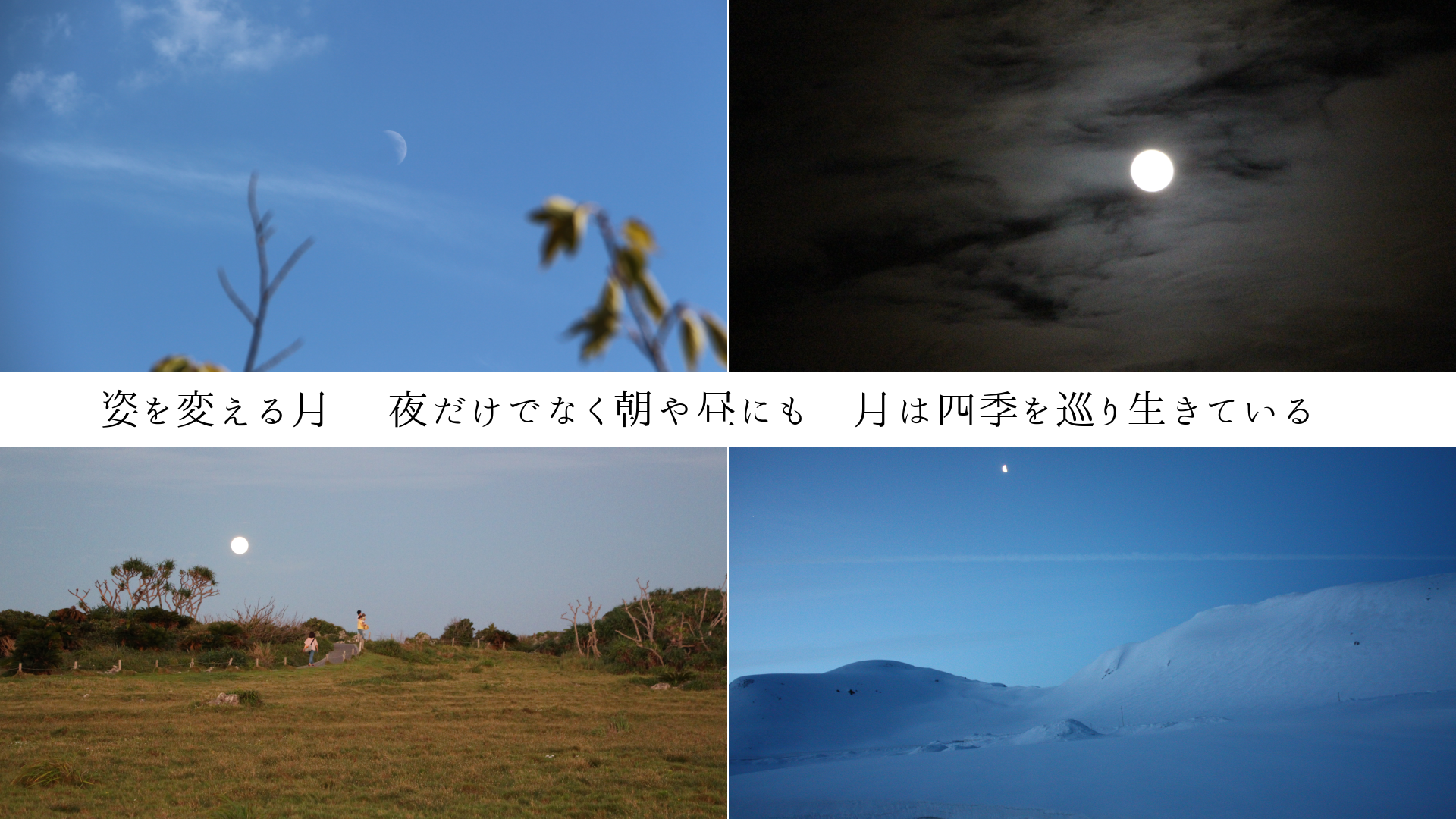 �Ѥ��Ѥ��� ������Ǥʤ�ī����ˤ⡡��ϻ͵����������Ƥ��롡