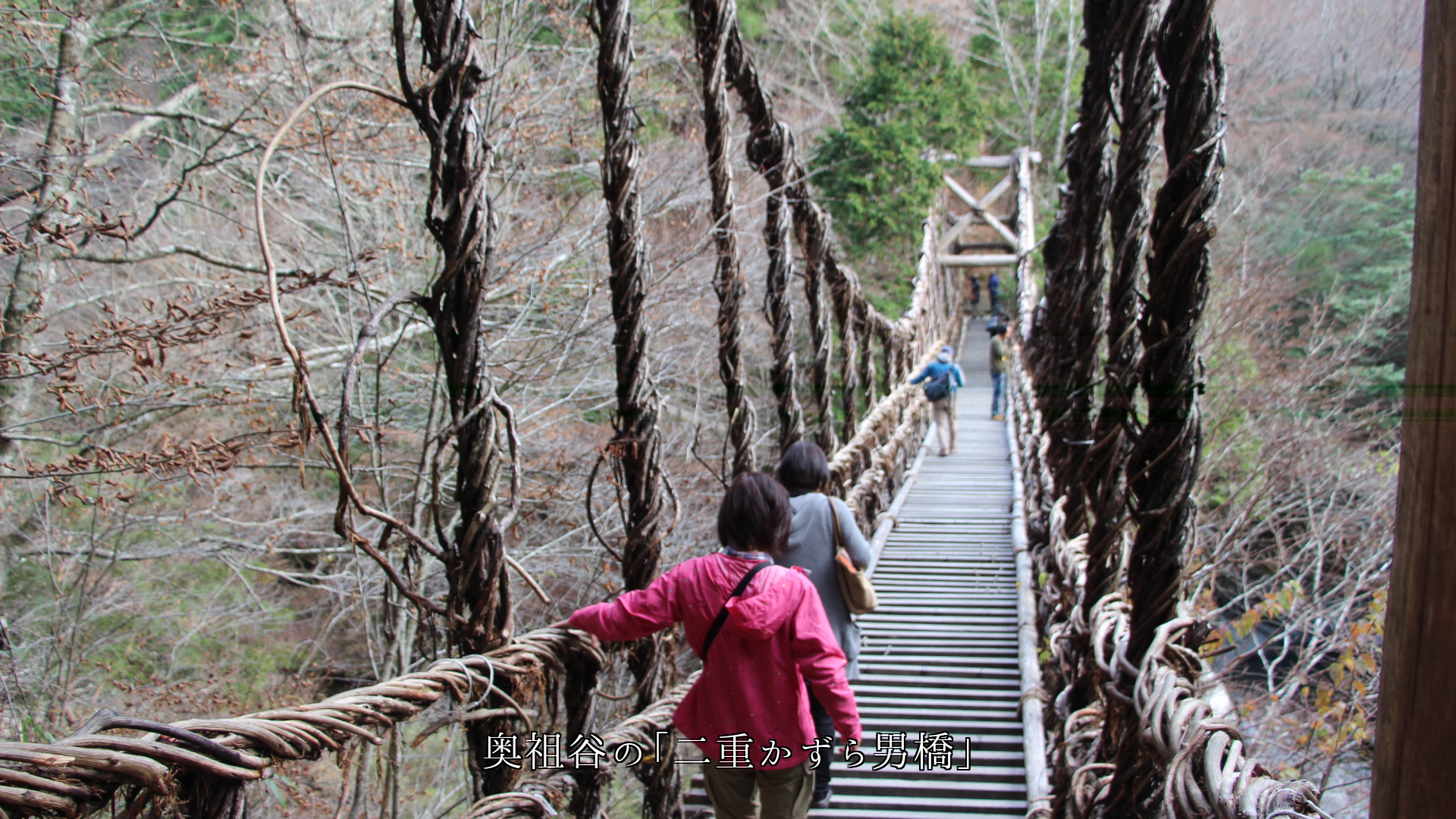 ¿�������٤�����ڶ����ж����ߤ궶��Ŵ�������줾������ܤ�̤����Ƥ���