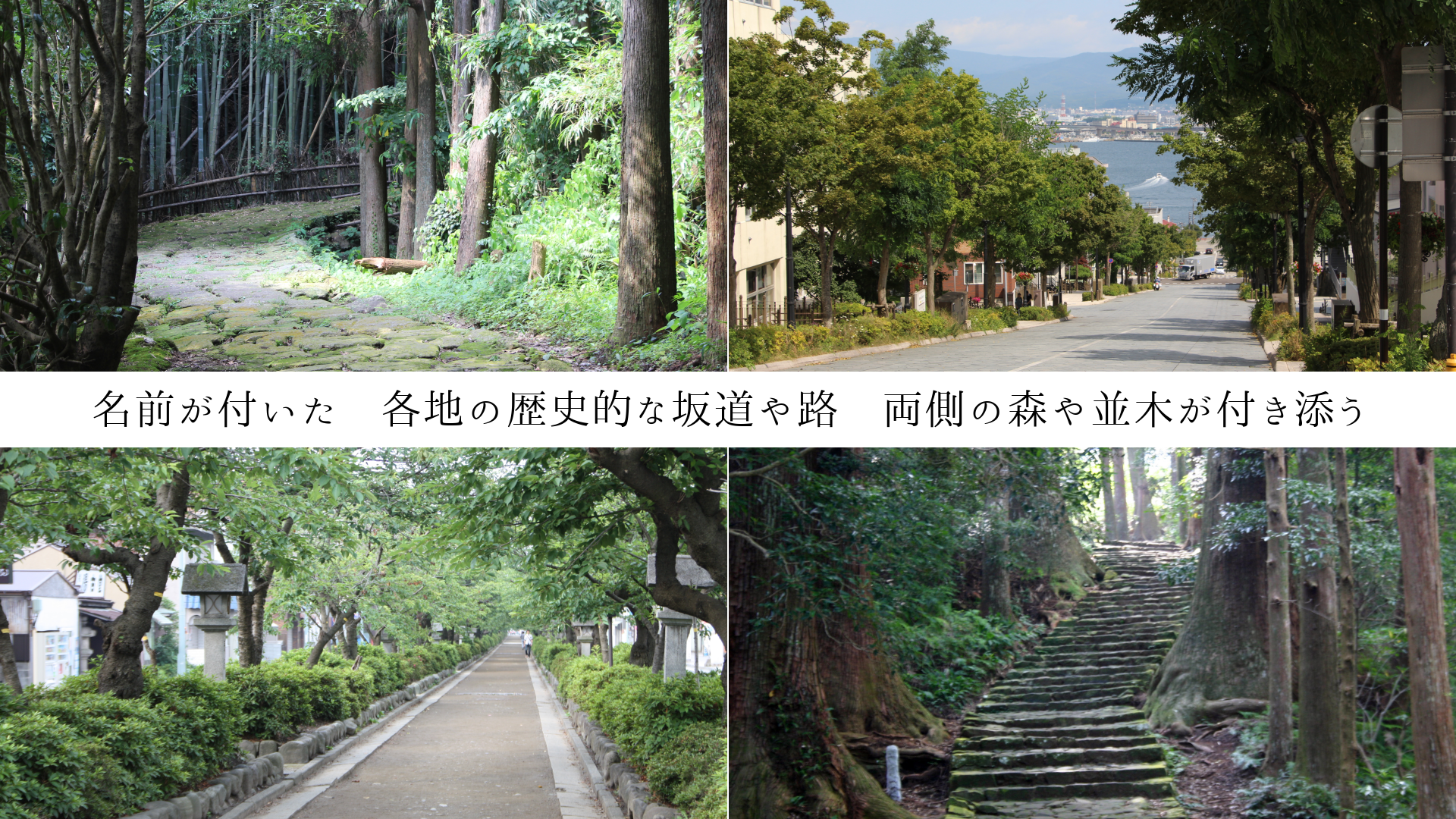 ̾դϤŪʺƻϩξ¦οڤդź