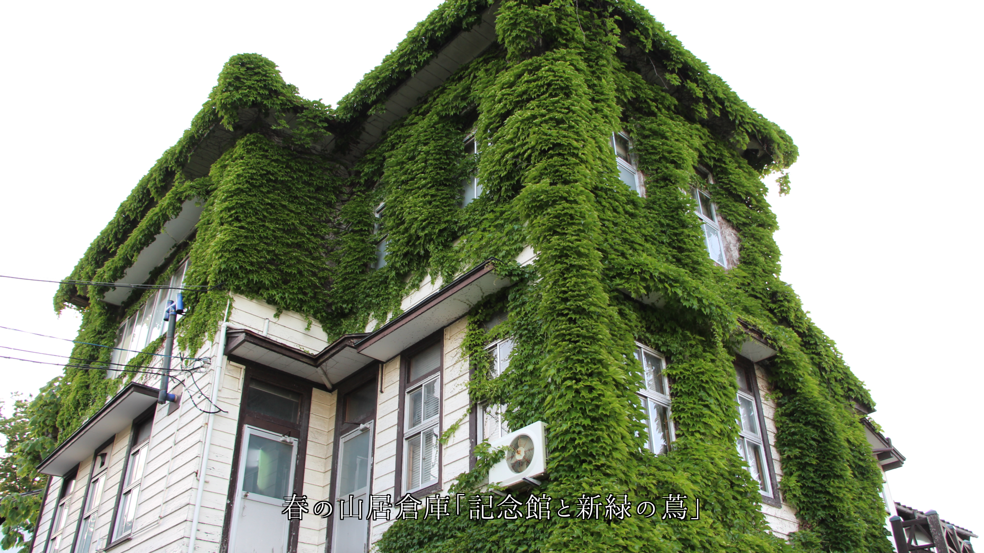 �ĥ����礦  ��󥬤���¤�η�ʪ���ɡ�����г����������������