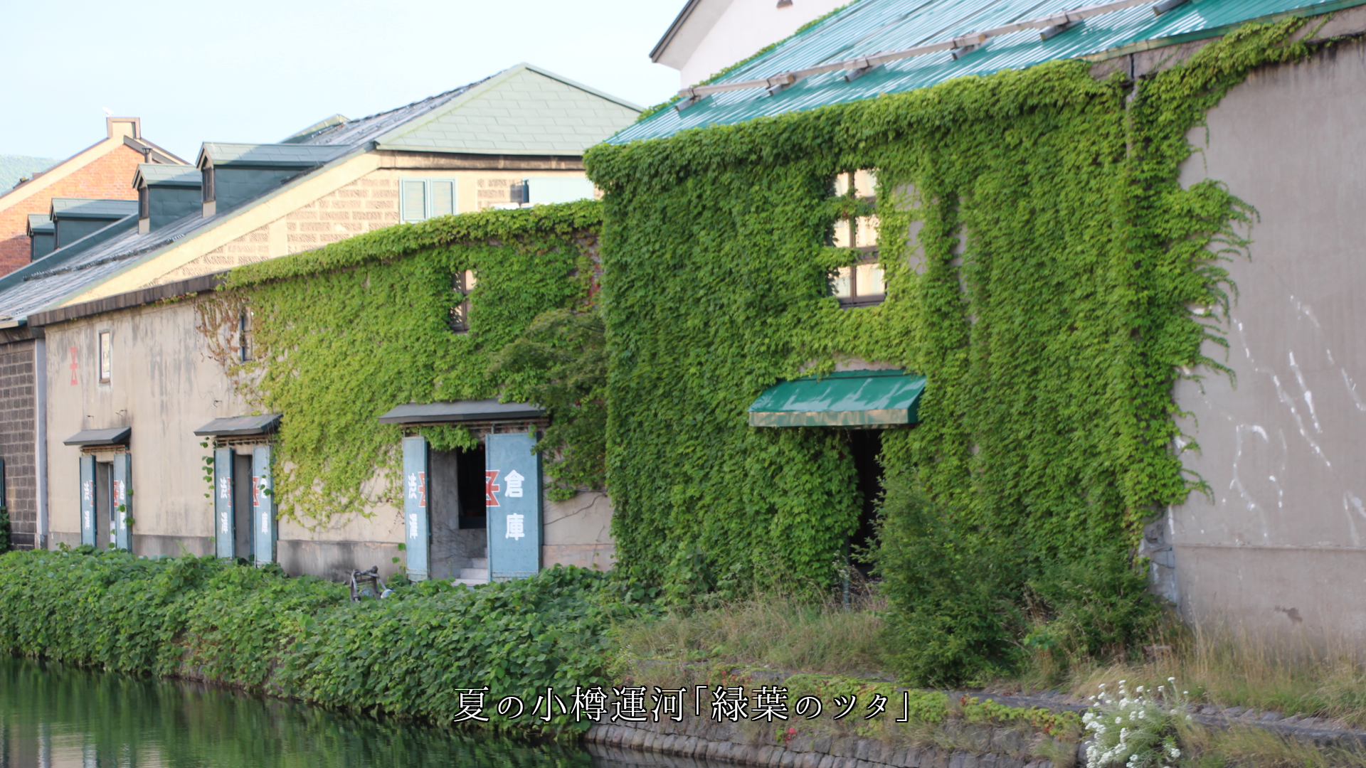 �ĥ����礦  ��󥬤���¤�η�ʪ���ɡ�����г����������������