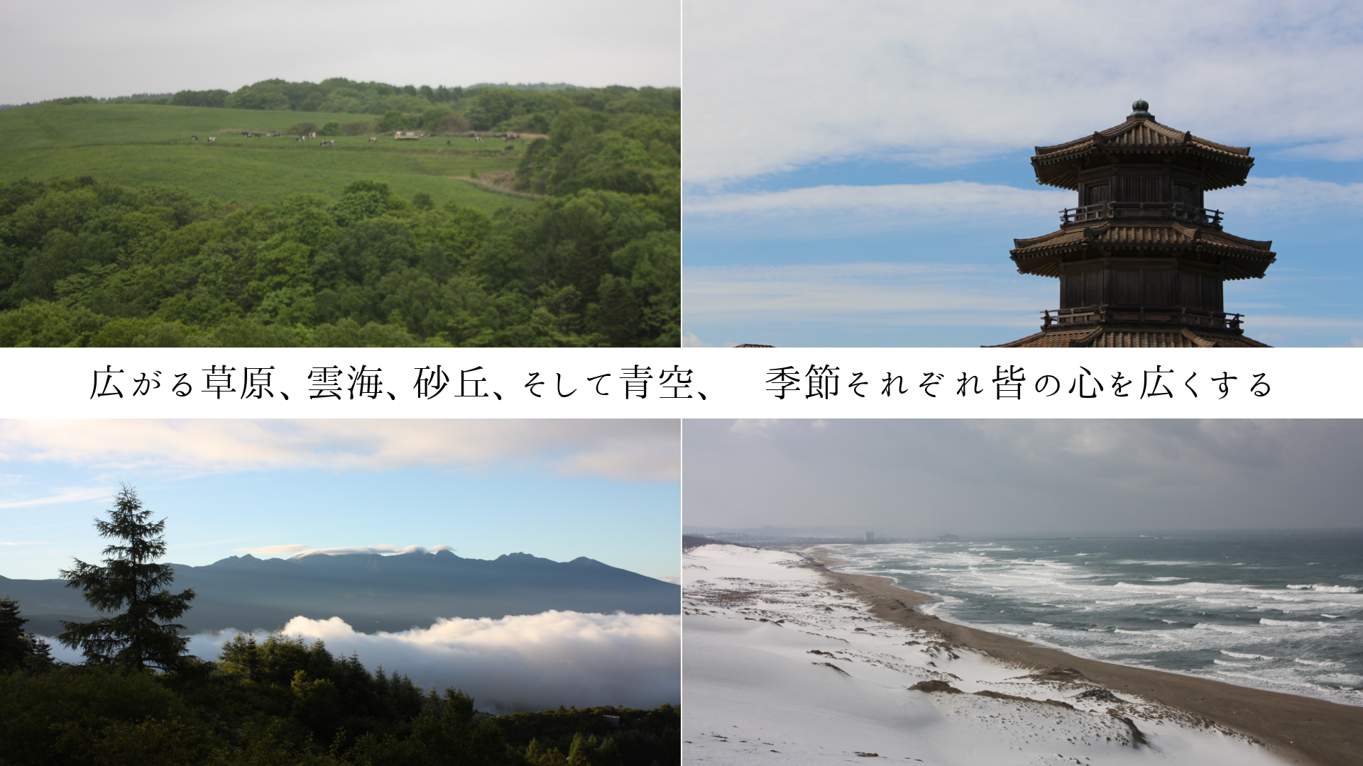 𸶡֡Ķ᤽줾쳧ο򹭤