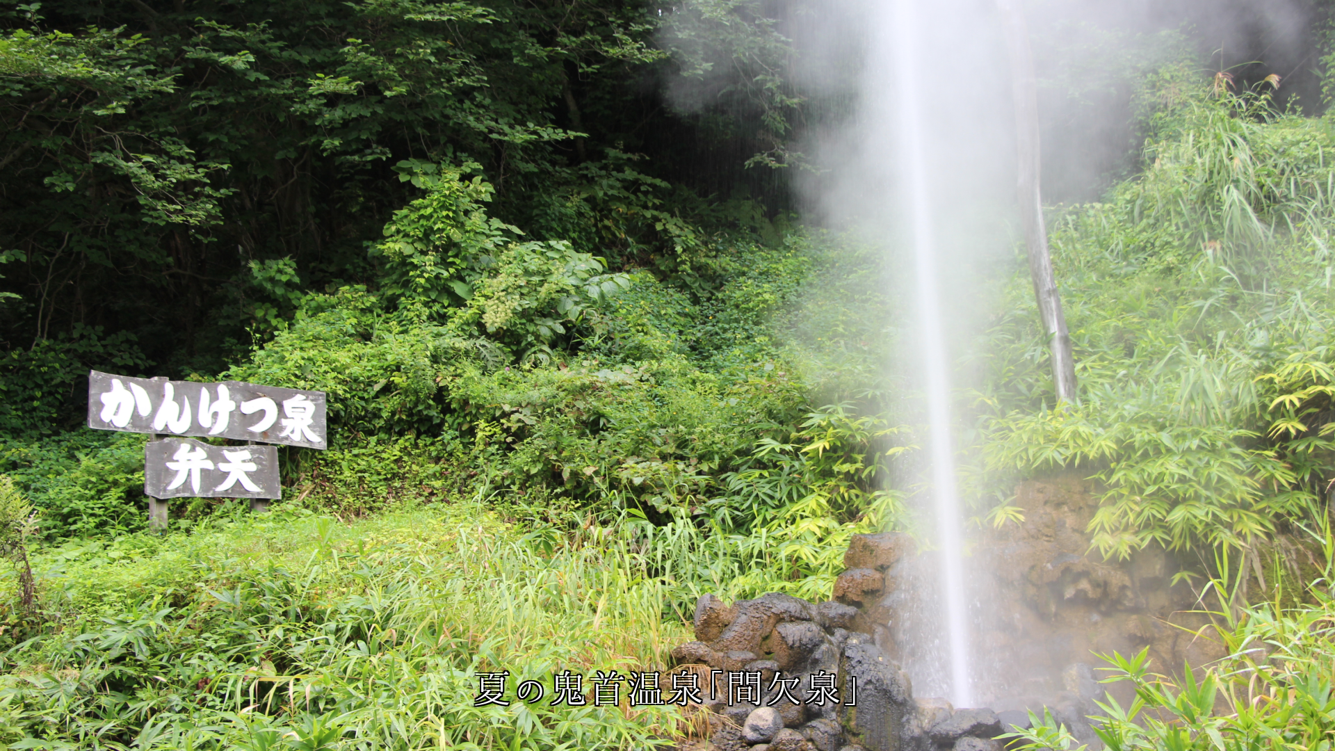 ゆっくりと昇る霧や湯煙 激しい間欠泉 白い噴気 自然は多様性に富む