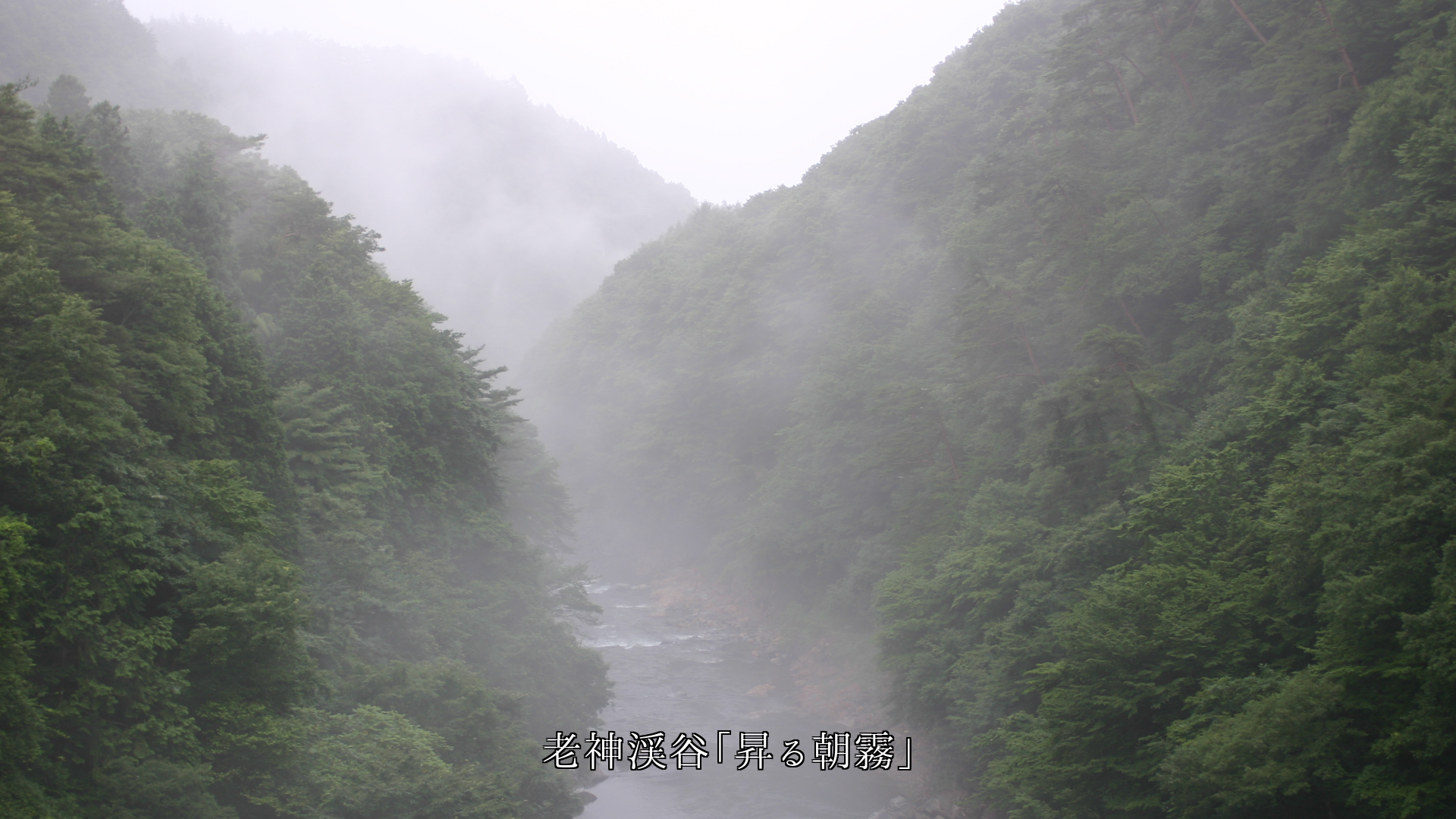 ゆっくりと昇る霧や湯煙 激しい間欠泉 白い噴気 自然は多様性に富む