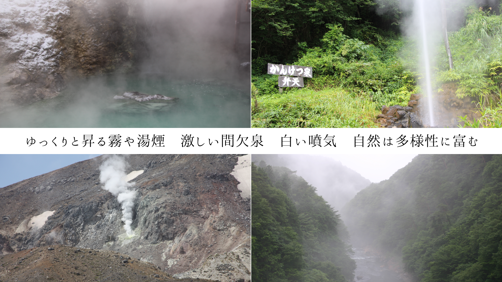 äȾ̸졡㤷ַʮ¿٤