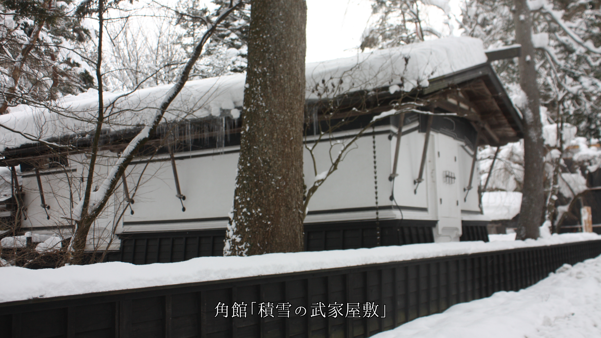 想い出を連れて 雪は降り積もる 山並みや道に 街や湿原にも